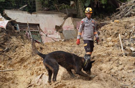 K-9 Temukan Lokasi Korban, Polda Sumut Lanjutkan Pencarian